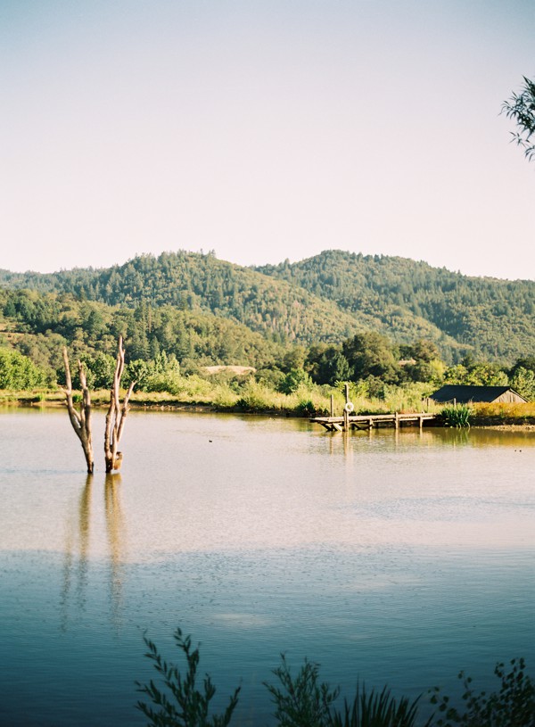 Safari West Sonoma County - Liz Wang Photography -01
